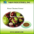 High quality Horse Chestnut Extract 20% ~98% Aescin